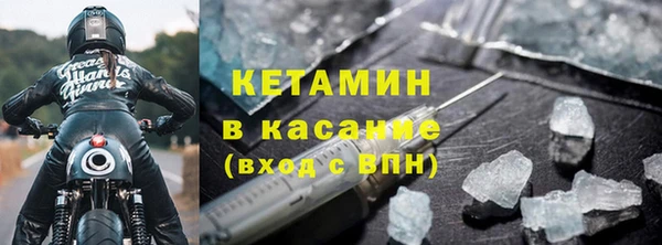 крисы Устюжна