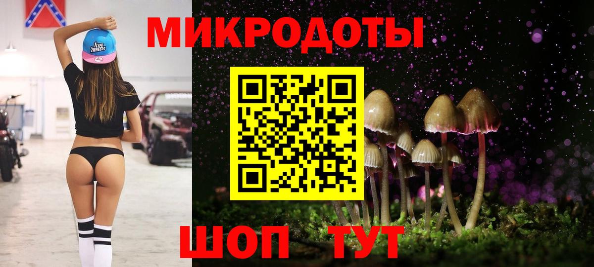 Псилоцибиновые грибы Psilocybine cubensis Ульяновск
